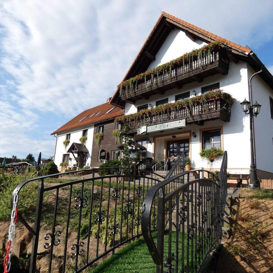 Hotel-Pension Flechsig Hartmannsdorf bei Kirchberg Exterior photo
